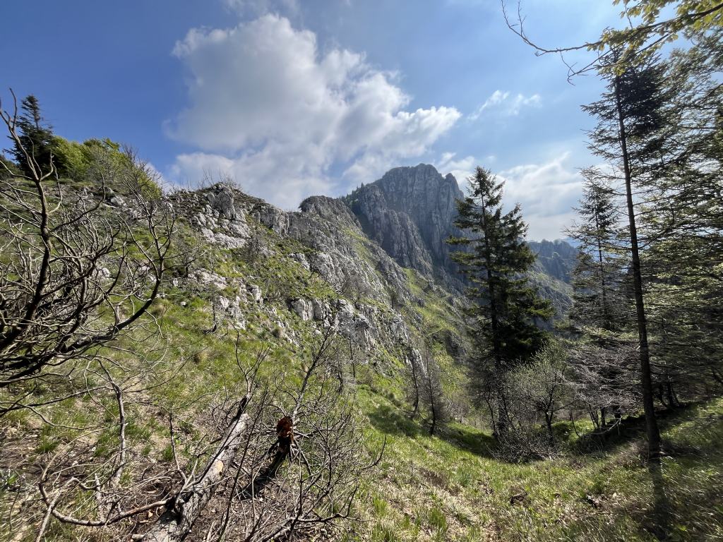 Bocca di Valle...Bondone (TN)